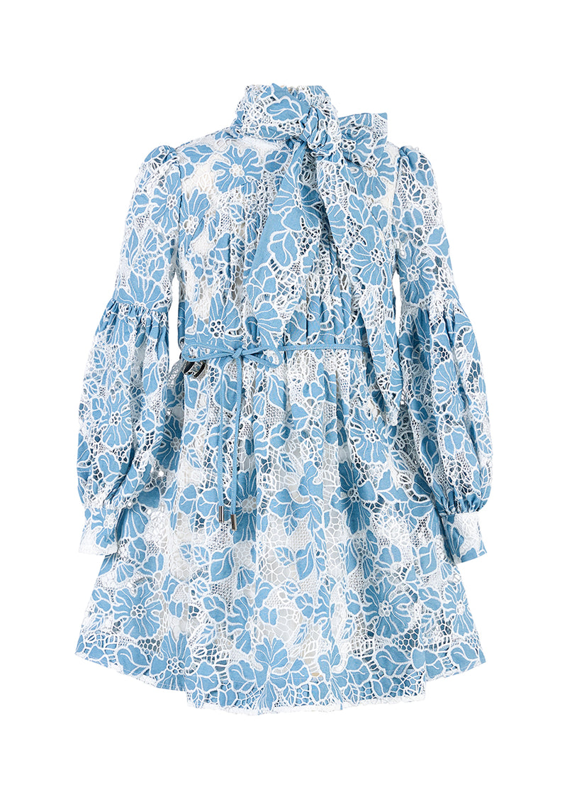 Lori Embroidered Mini Dress