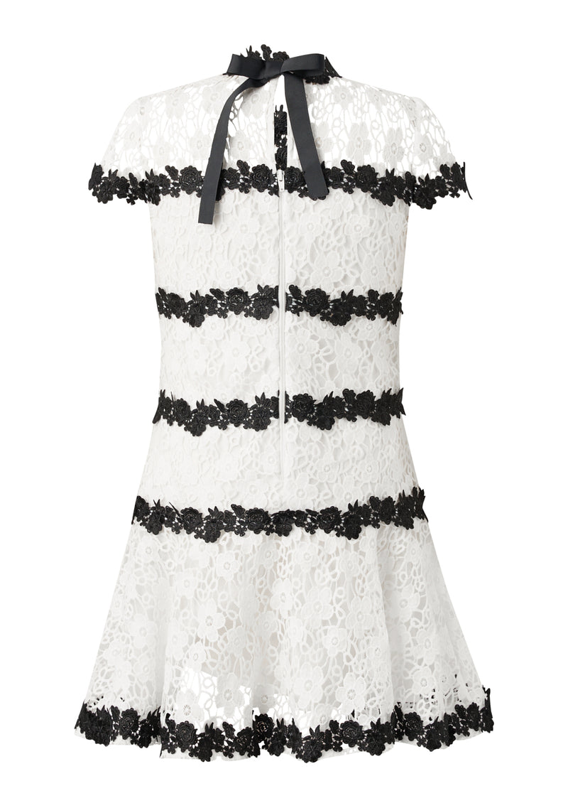 Aveline Embroidered Mini Dress