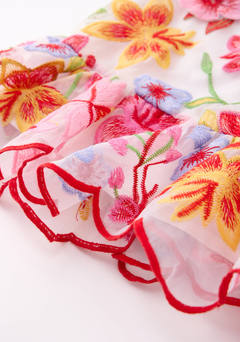 Arabella Embroidered Mini Dress