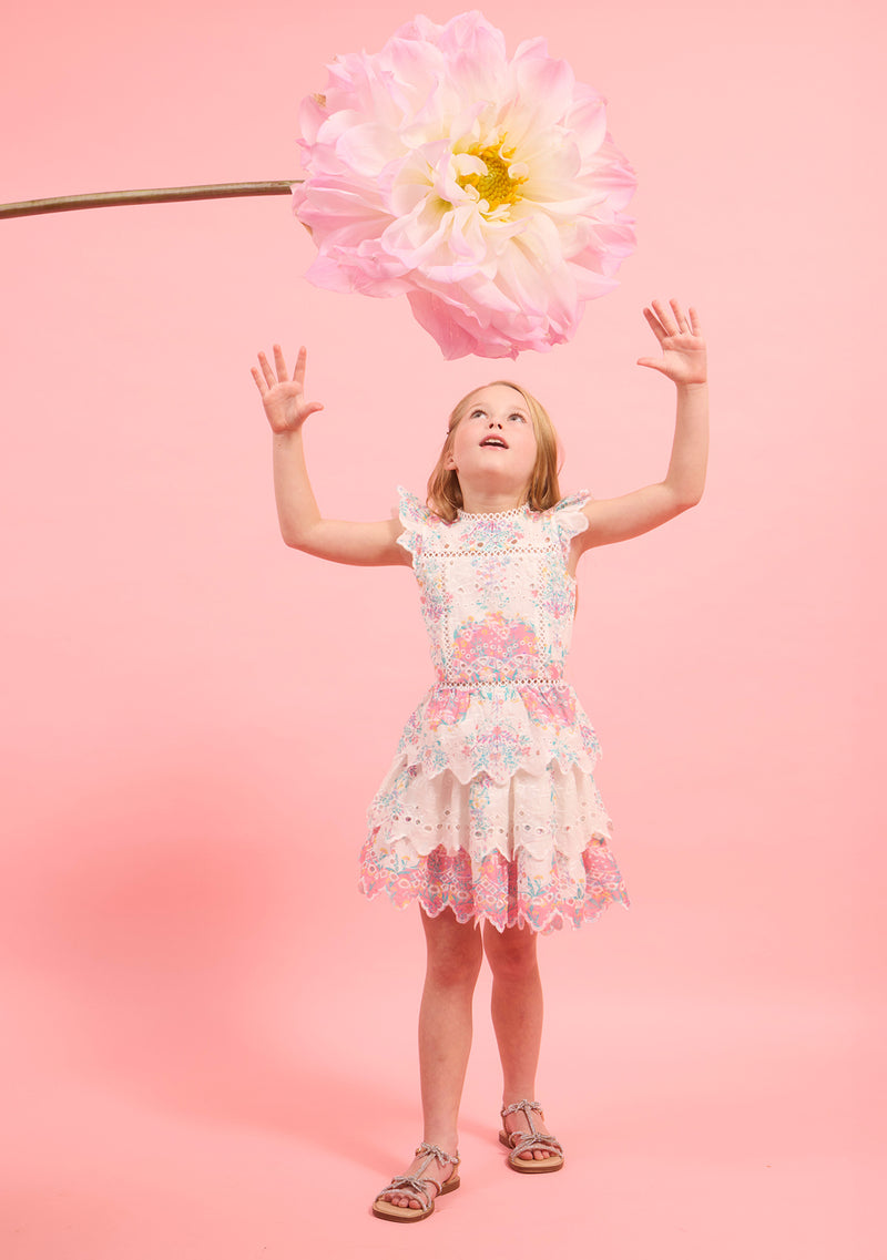 Gracie Embroidered Mini Dress