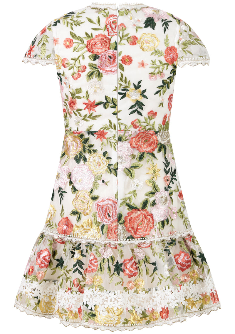 Allure Embroidered Mini Dress