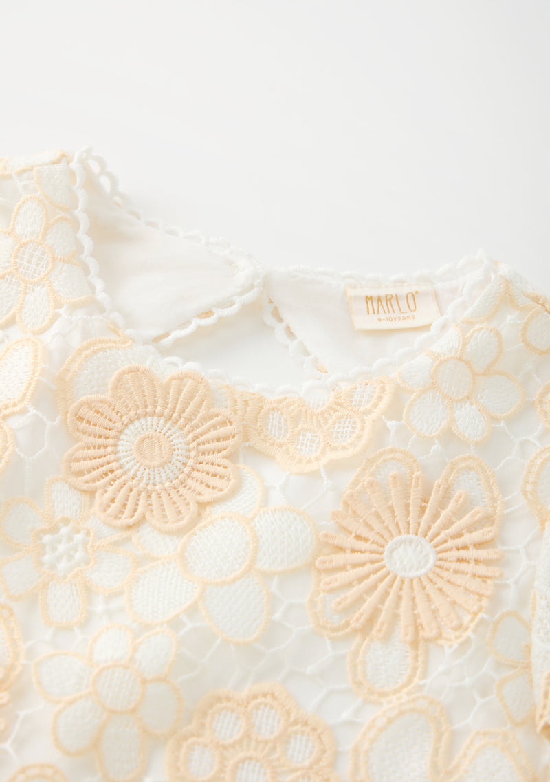 Amara Embroidered Mini Dress