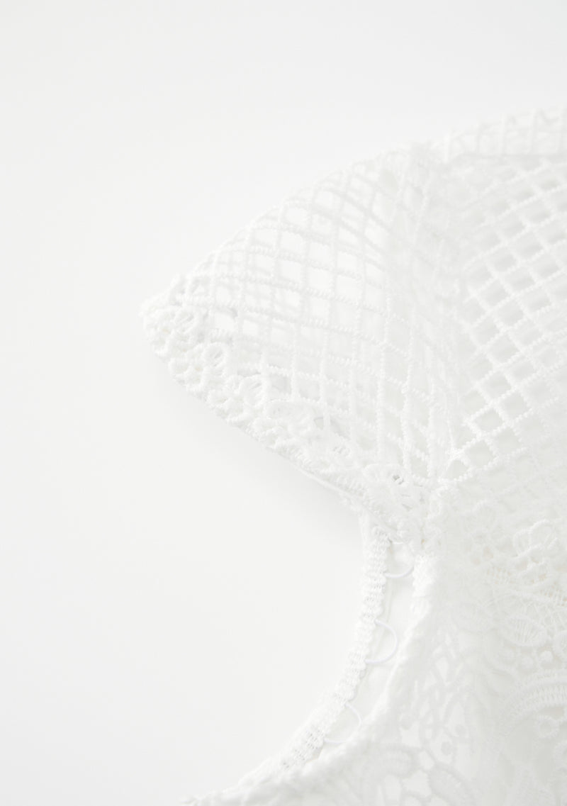 Annalisa Lace Mini Dress