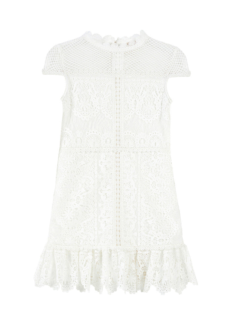 Annalisa Lace Mini Dress