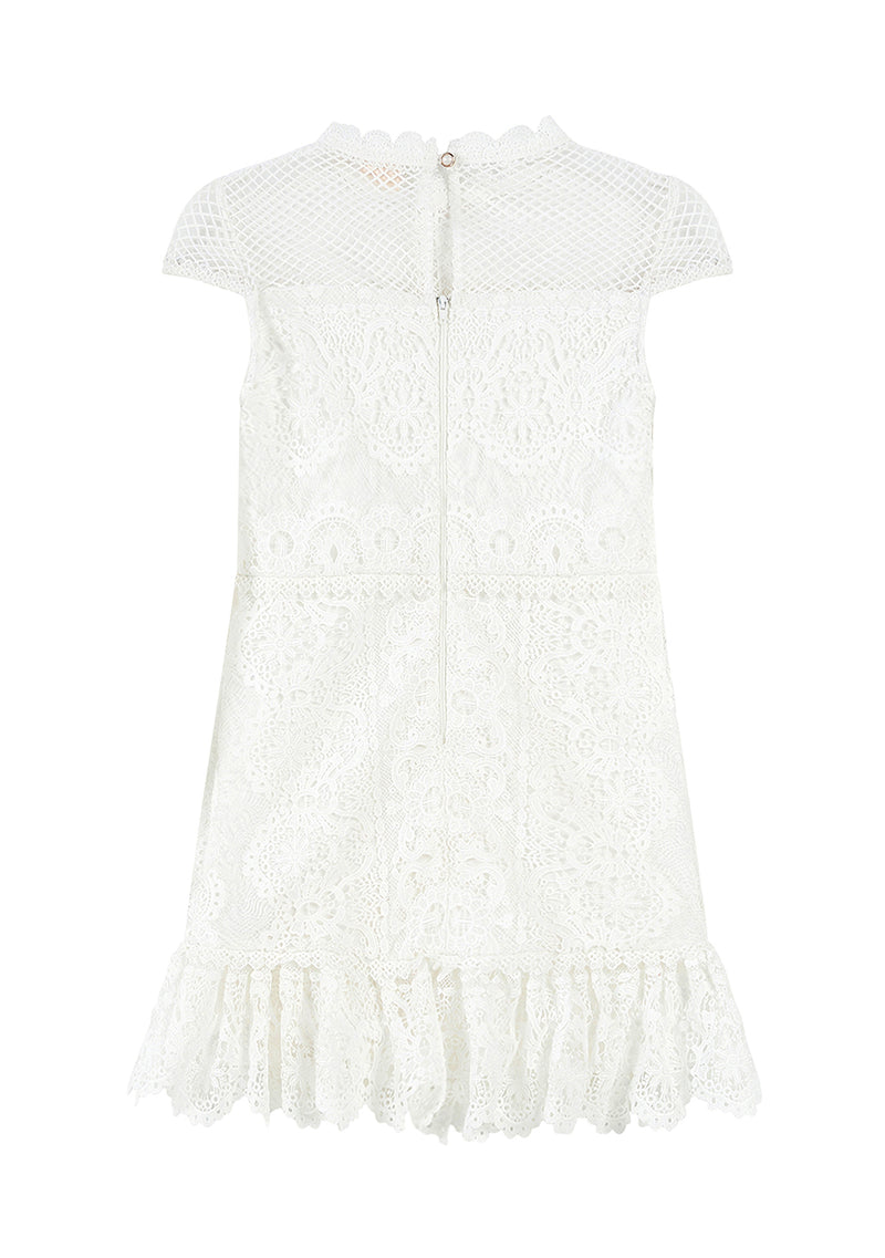 Annalisa Lace Mini Dress