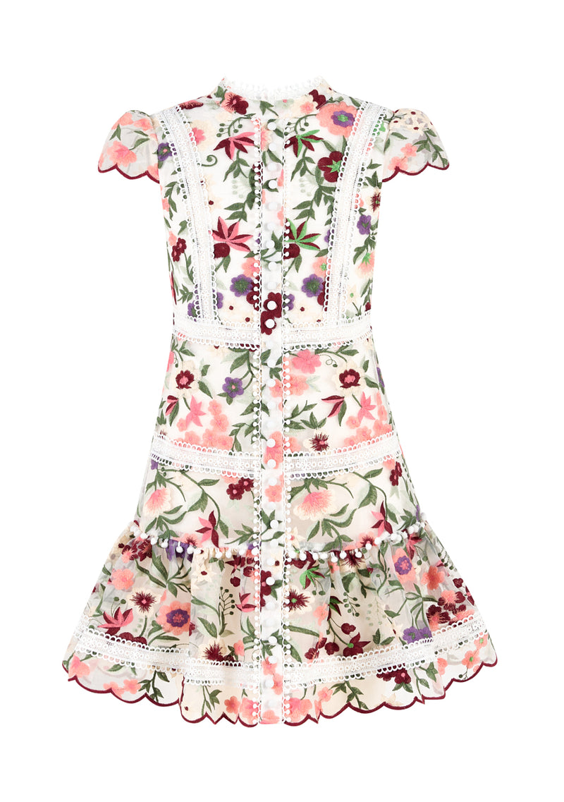 Anya Embroidered Mini Dress