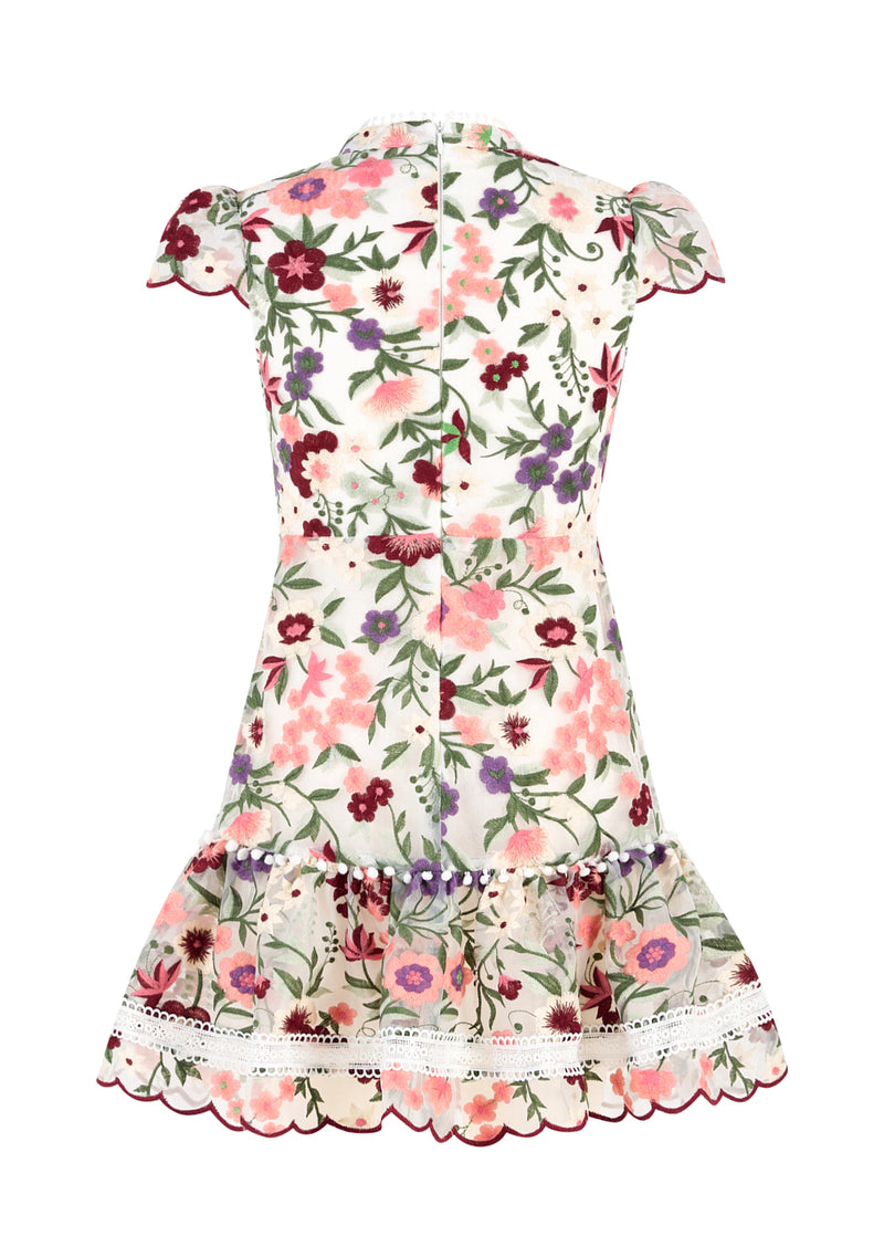 Anya Embroidered Mini Dress