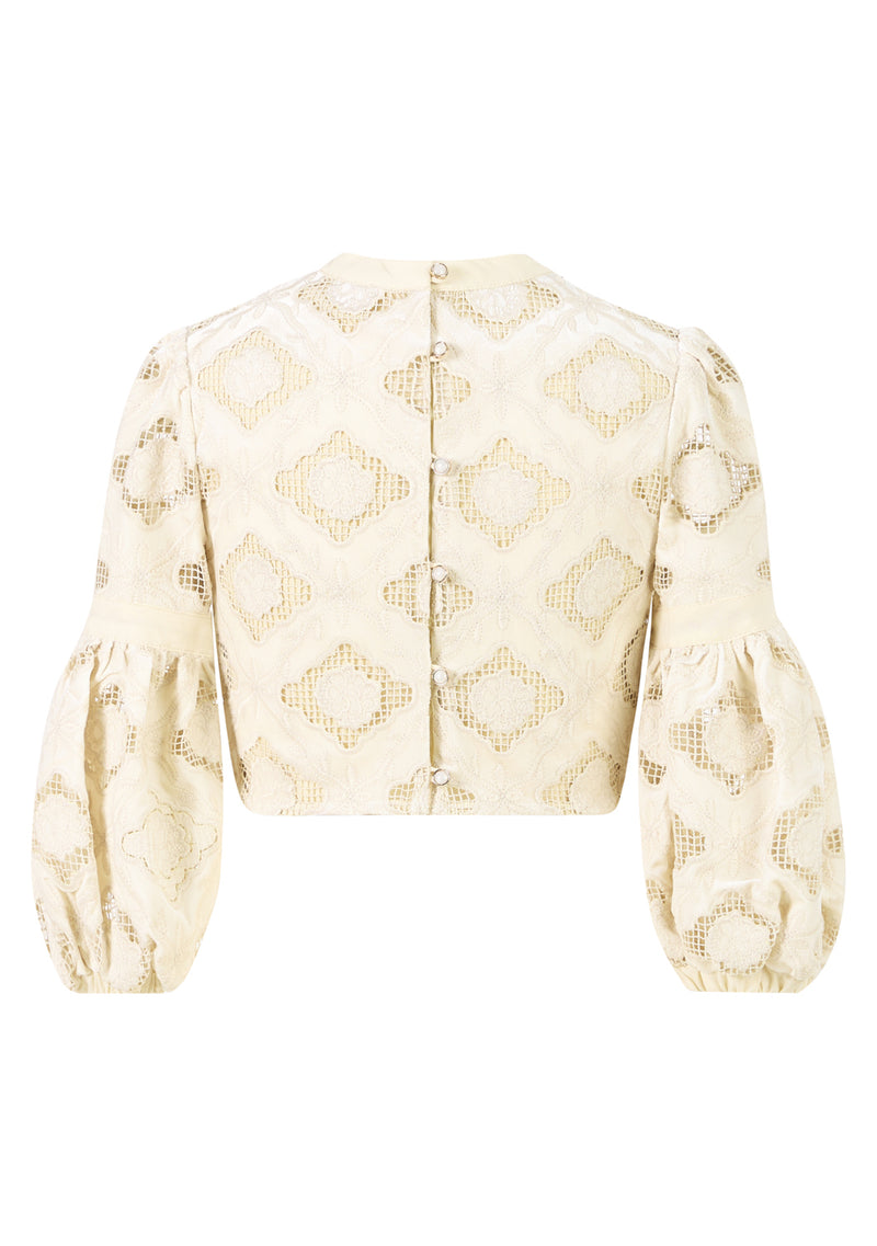 Ava Embroidered Velvet Top