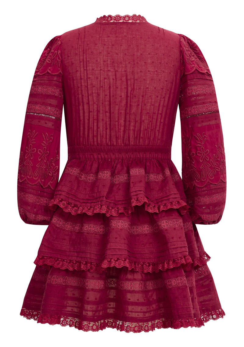 Betty Embroidered Sleeve Mini Dress