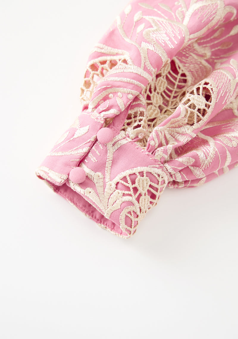 Charm Embroidered Mini Dress