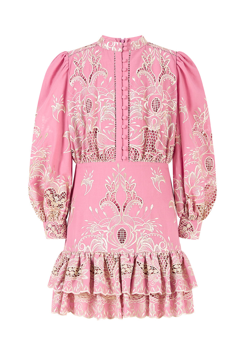 Charm Embroidered Mini Dress