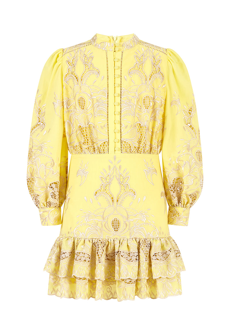 Charm Embroidered Mini Dress