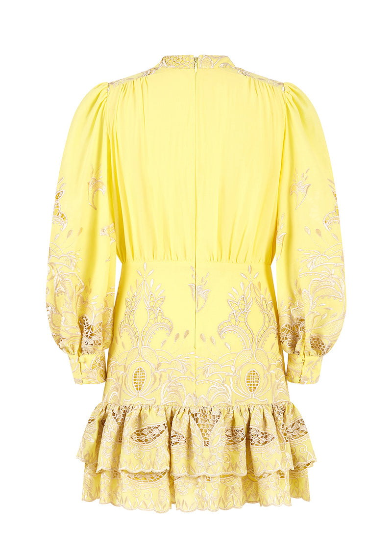 Charm Embroidered Mini Dress