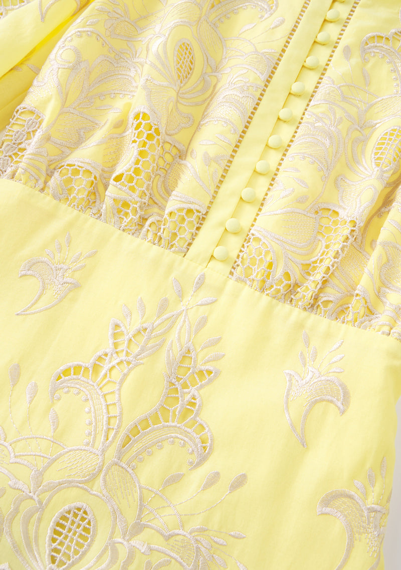 Charm Embroidered Mini Dress