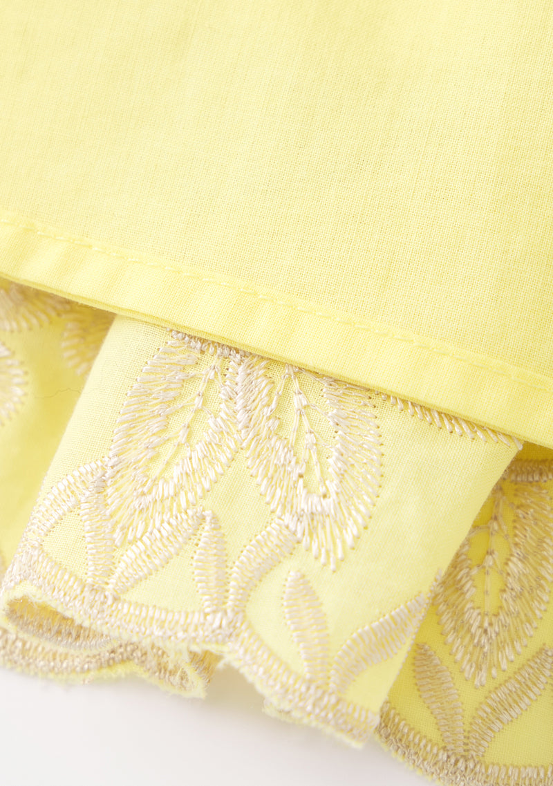 Charm Embroidered Mini Dress