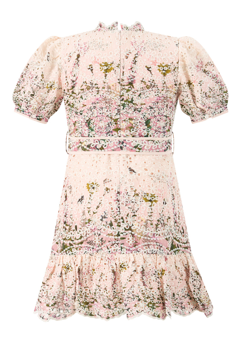 Chiara Embroidered Mini Dress