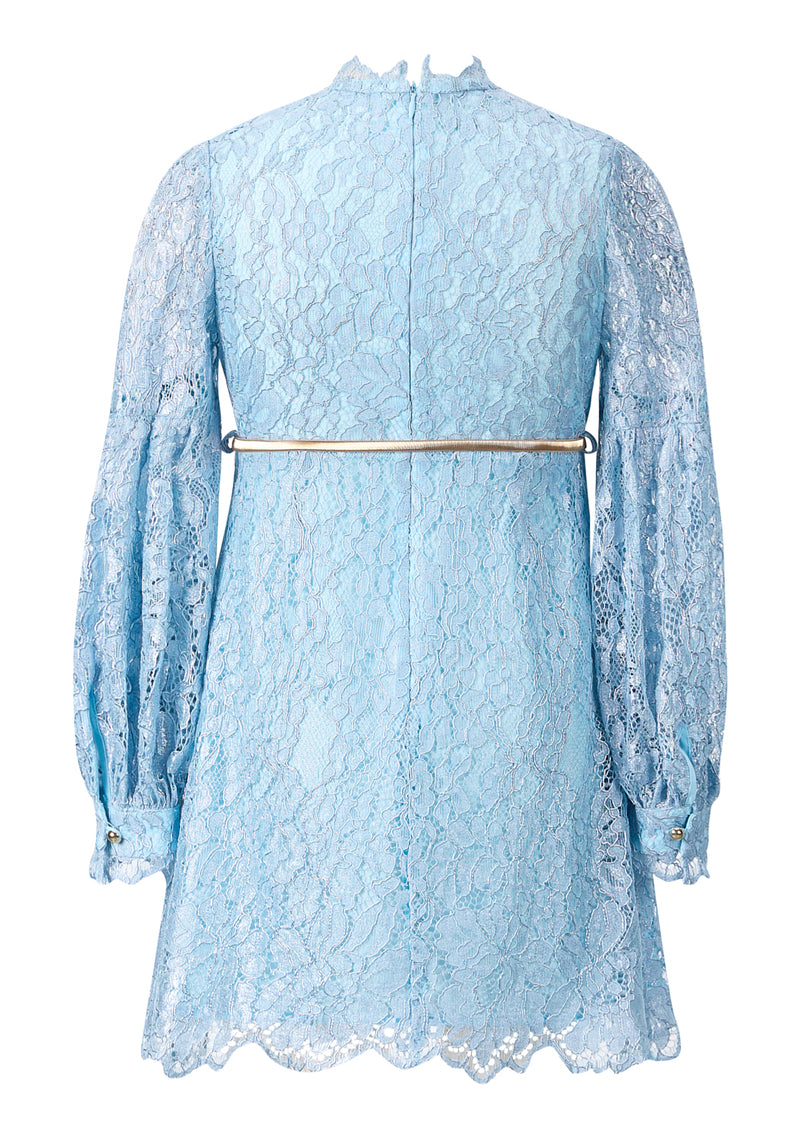 Dolly Embroidered Mini Dress