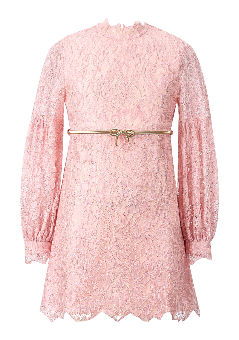 Dolly Embroidered Mini Dress