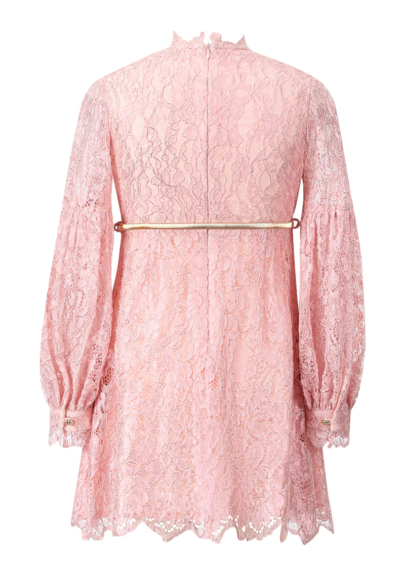 Dolly Embroidered Mini Dress