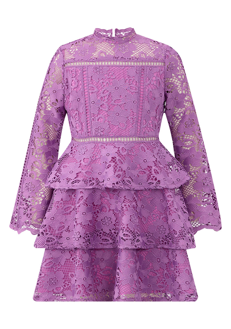 Gianna Embroidery Mini Dress