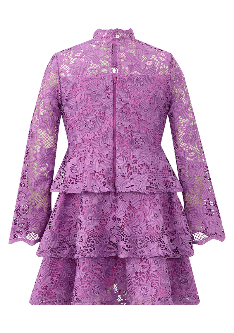 Gianna Embroidery Mini Dress