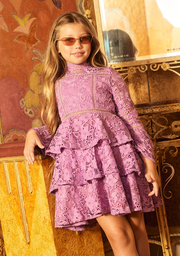 Gianna Embroidery Mini Dress