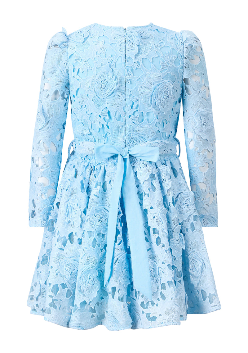 Judy Embroidered Mini Dress