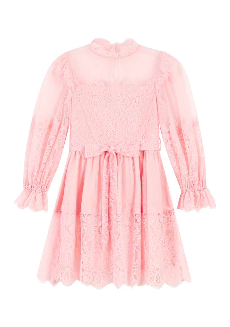 Madilynn Lace Sleeve Mini Dress