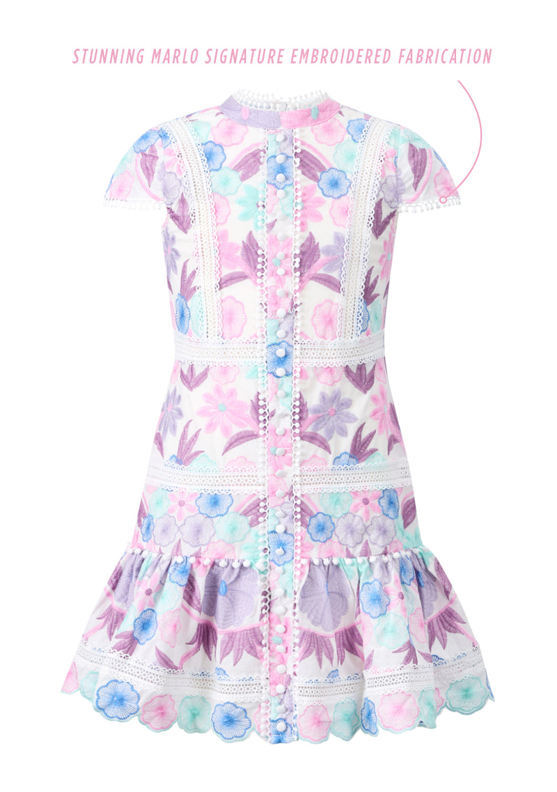 Danielle Embroidered Mini Dress