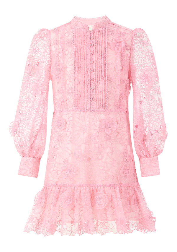 Prue Long Sleeve Embroidered Mini Dress