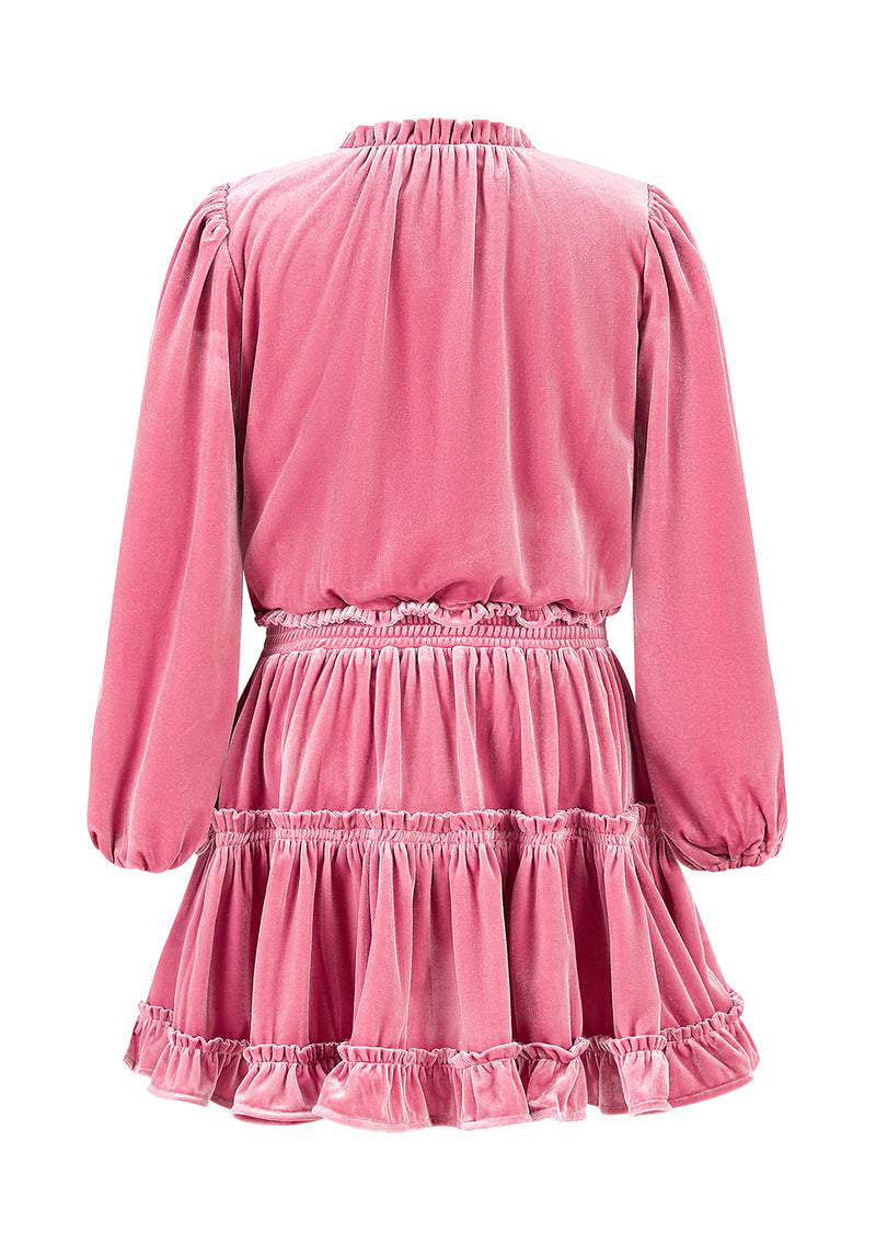 Symphony Velvet Mini Dress